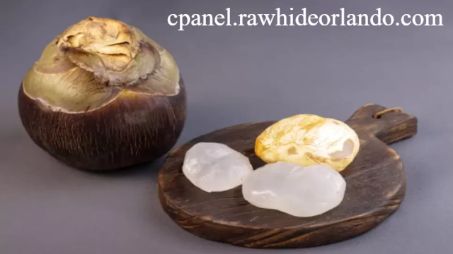 10 Manfaat Siwalan bagi Kesehatan Tubuh